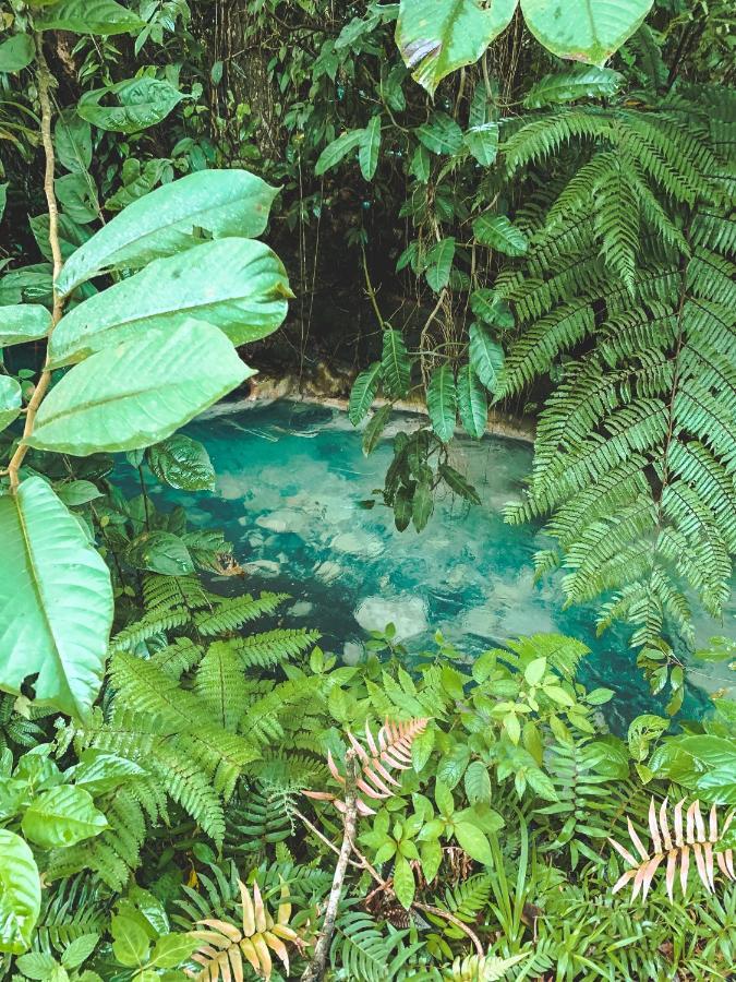 Oski Lodge, Rain Forest Rincon De La Vieja Upala Dış mekan fotoğraf