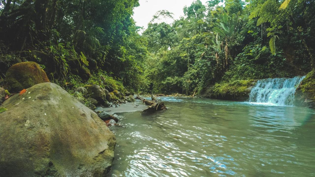 Oski Lodge, Rain Forest Rincon De La Vieja Upala Dış mekan fotoğraf