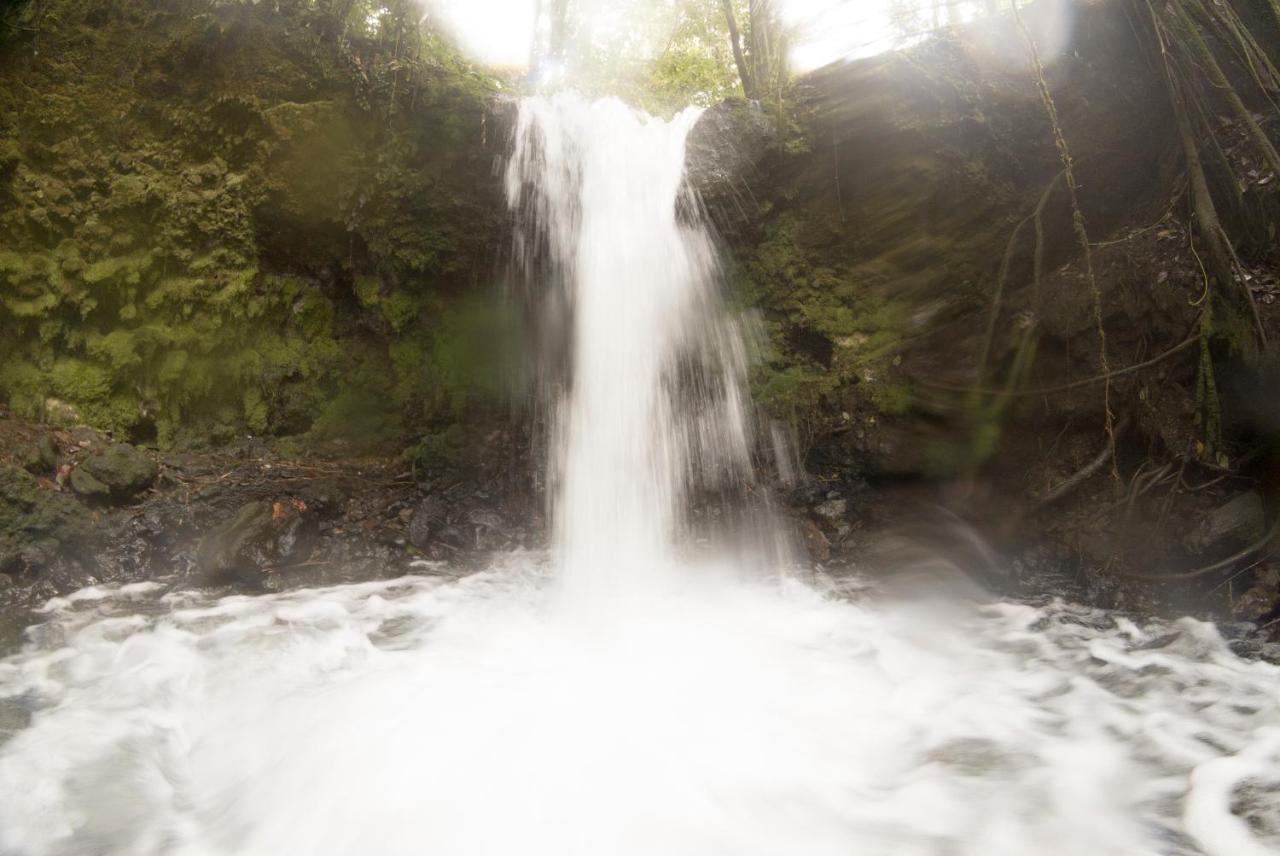 Oski Lodge, Rain Forest Rincon De La Vieja Upala Dış mekan fotoğraf