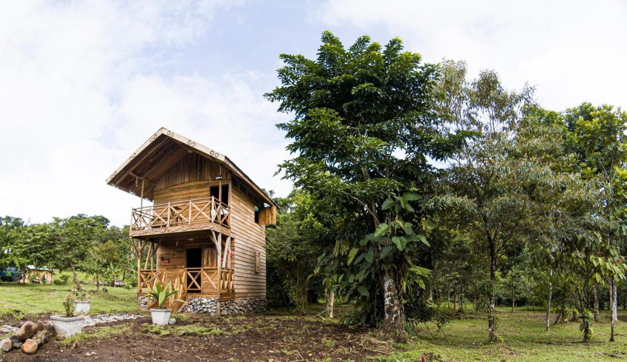 Oski Lodge, Rain Forest Rincon De La Vieja Upala Dış mekan fotoğraf